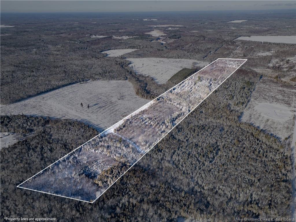 Lot Bristol Rd, Saint-Paul, NB