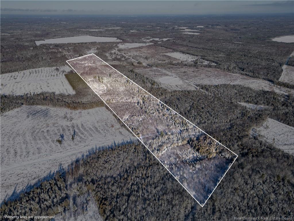 Lot Bristol Rd, Saint-Paul, NB