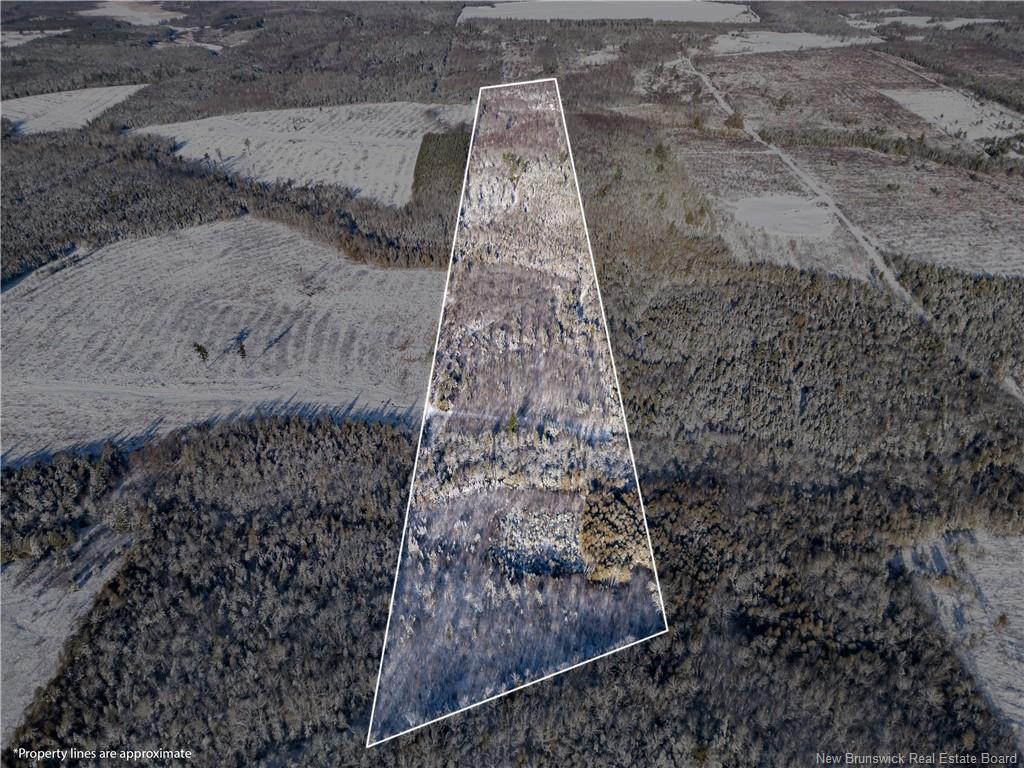 Lot Bristol Rd, Saint-Paul, NB