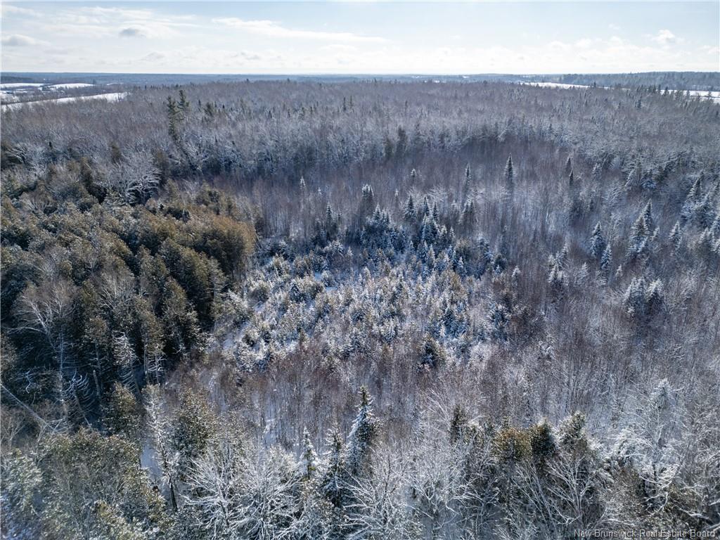 Lot Bristol Rd, Saint-Paul, NB