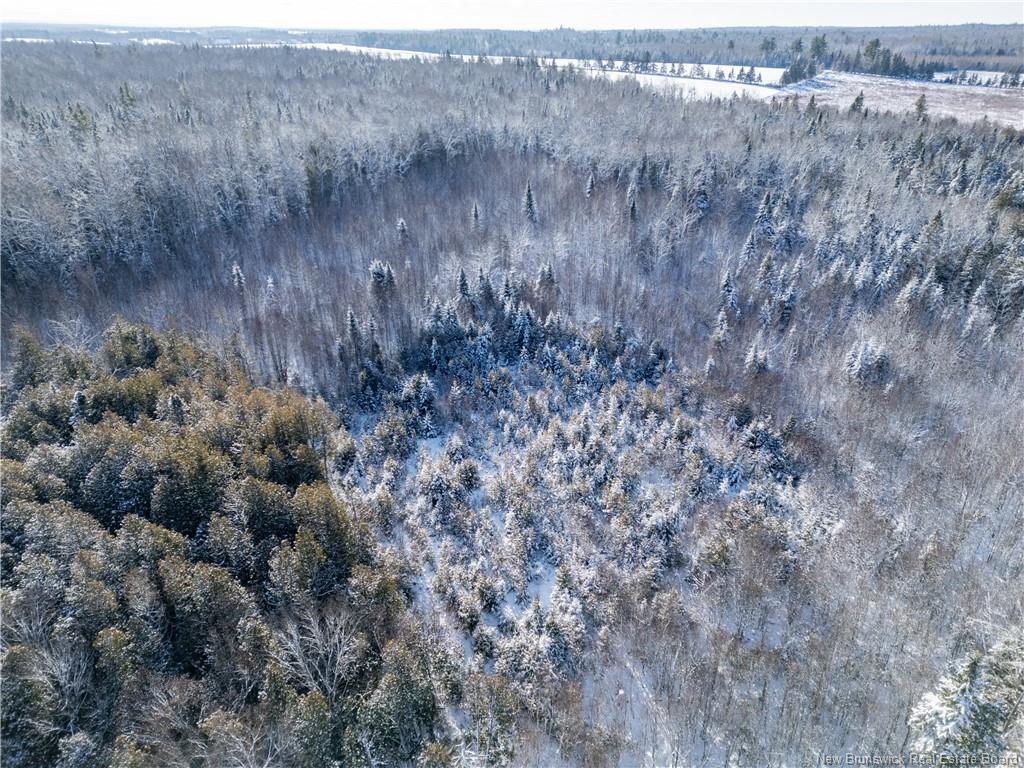 Lot Bristol Rd, Saint-Paul, NB
