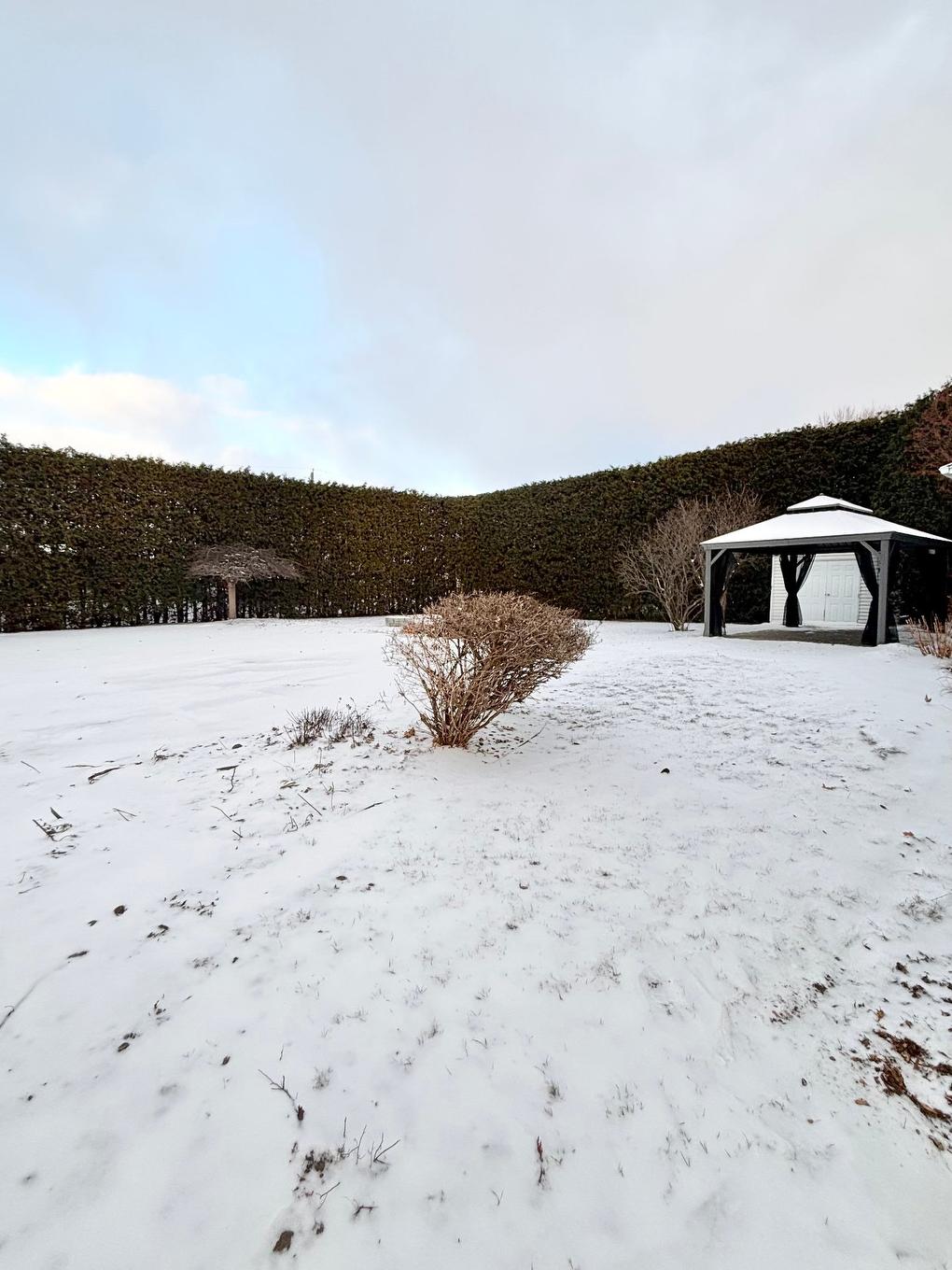 Cour - 464 15E Avenue, Saint-Jean-Sur-Richelieu, QC - Outdoor