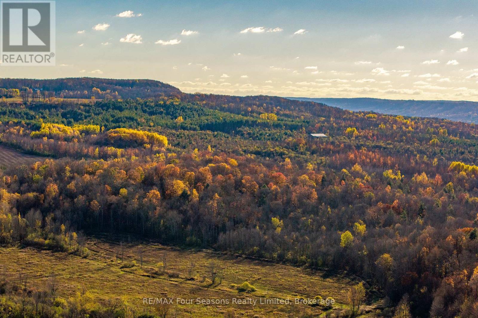 627174 Grey Road 119, Grey Highlands, ON - Outdoor With View