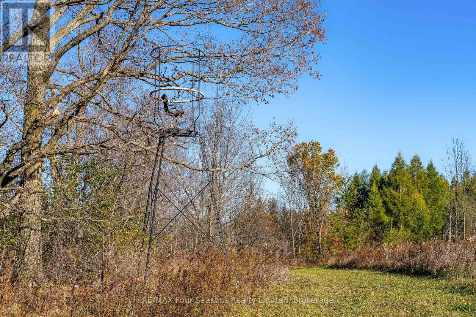 627174 Grey Road 119, Grey Highlands, ON - Outdoor With View