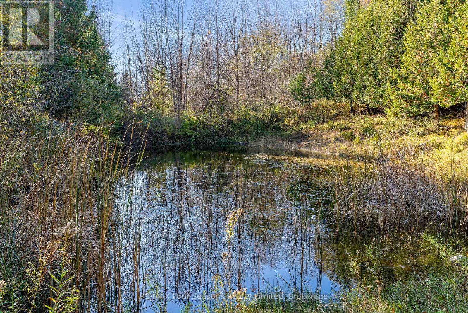 627174 Grey Road 119, Grey Highlands, ON - Outdoor With View