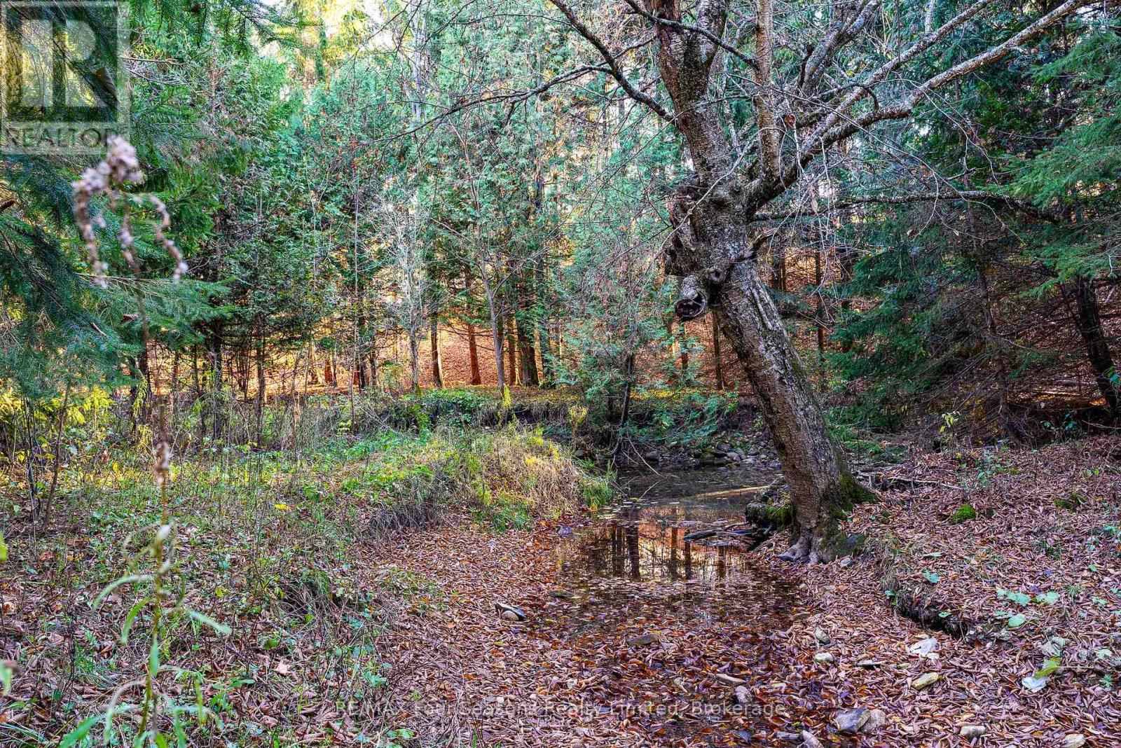 627174 Grey Road 119, Grey Highlands, ON - Outdoor