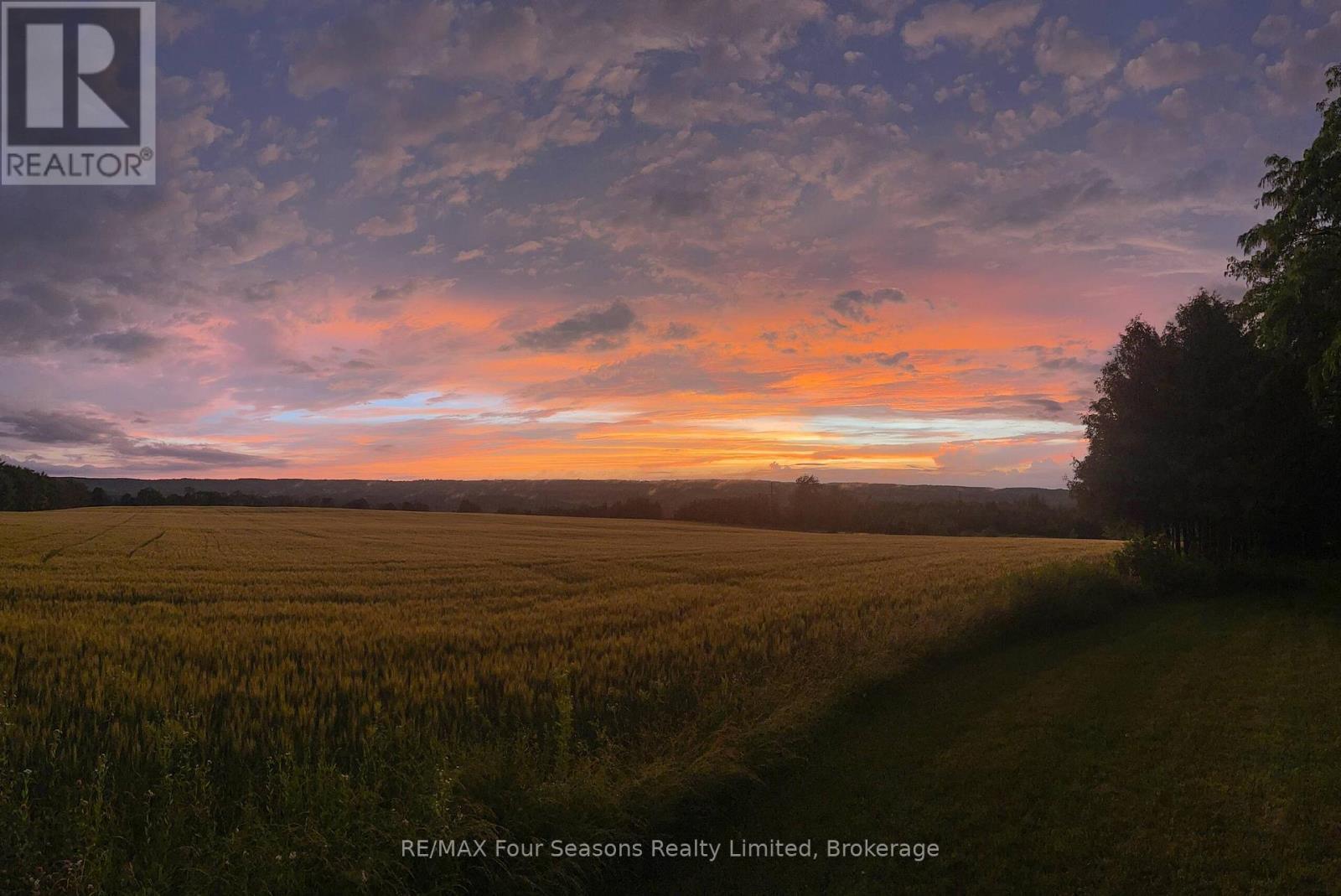 627174 Grey Road 119, Grey Highlands, ON - Outdoor With View