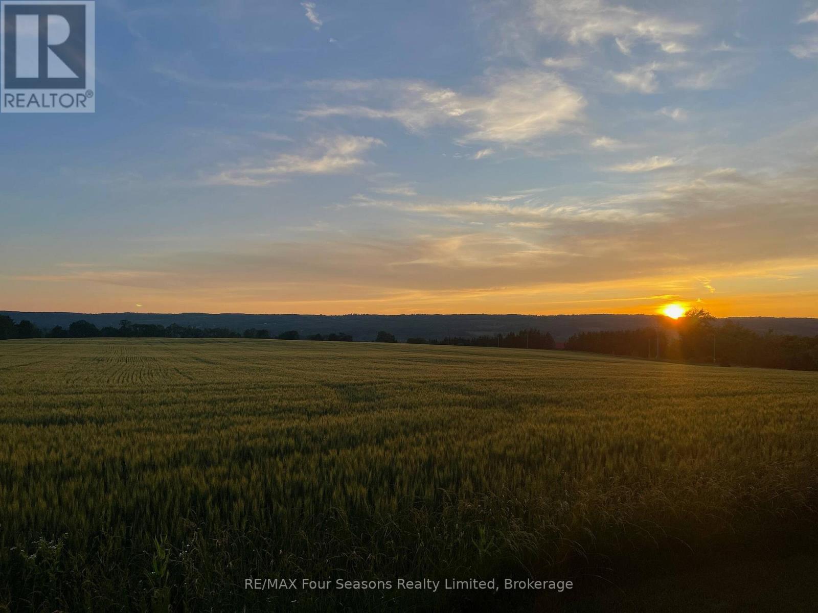 627174 Grey Road 119, Grey Highlands, ON - Outdoor With View