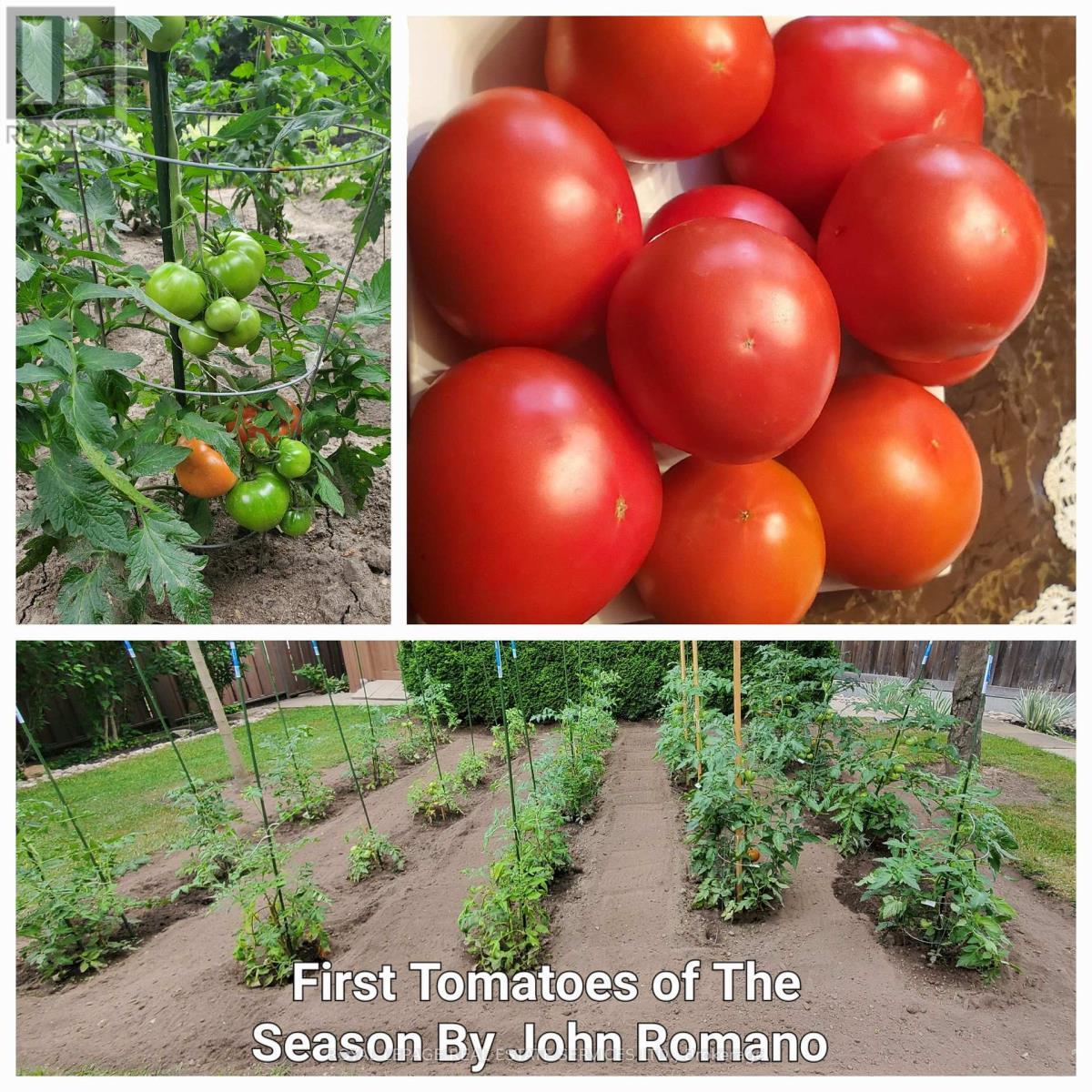 44 Wigwoss Drive, Vaughan, ON - Outdoor