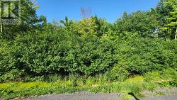 00 TOLMIES CORNERS ROAD North Stormont, ON K0C 1V0