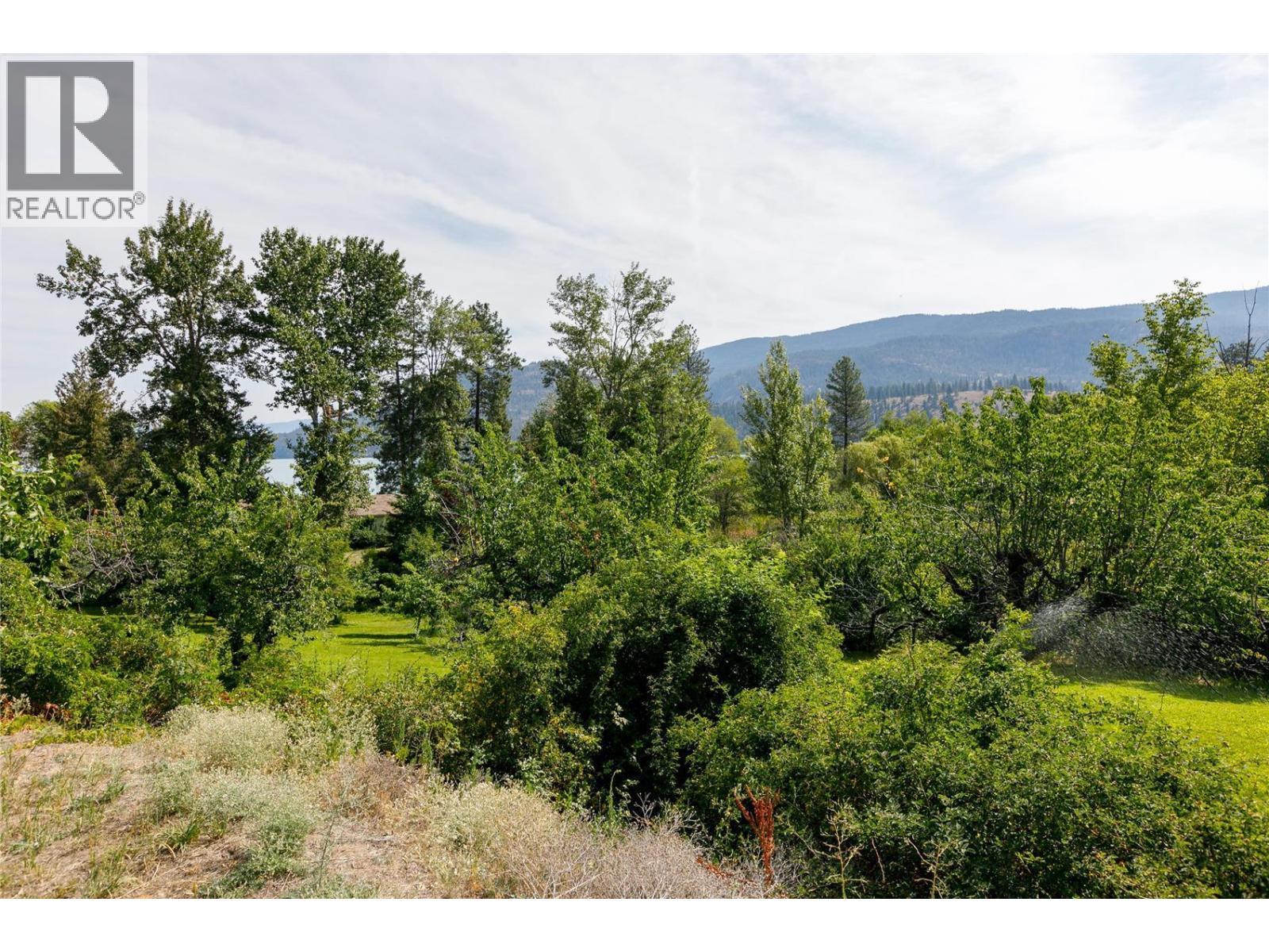 16821 Owl'S Nest Road, Oyama, BC - Outdoor With View