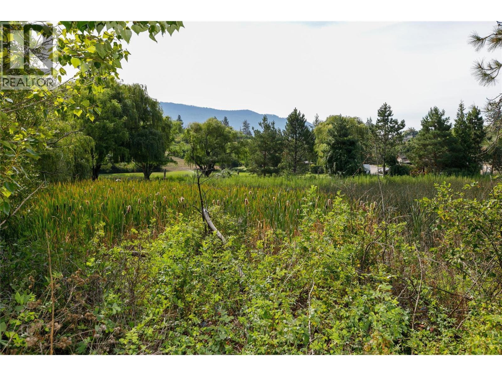 16821 Owl'S Nest Road, Oyama, BC - Outdoor With View