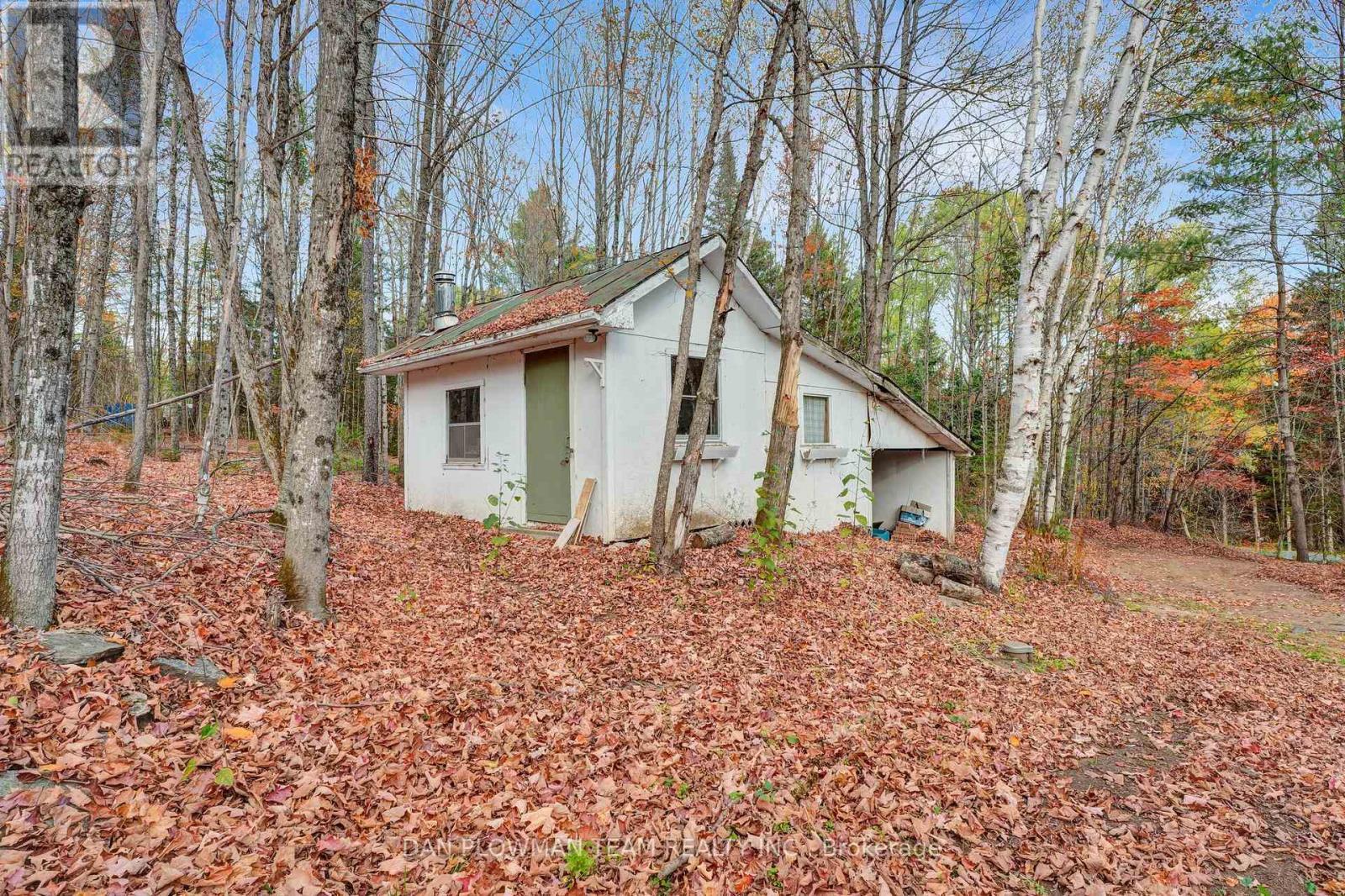 1919 Irondale Road, Highlands East, ON - Outdoor