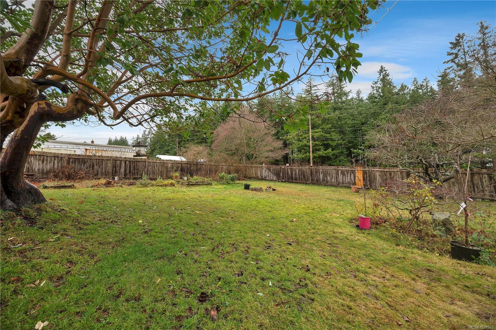 392 Thulin St, Campbell River, BC