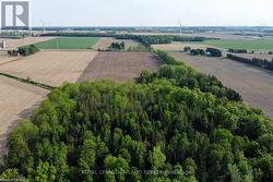 Some trees have been removed -