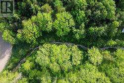 Bush contains a creek & a small pond! -