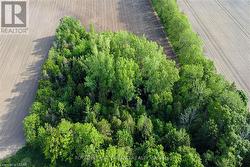 Lots of bush for trails for the kids -