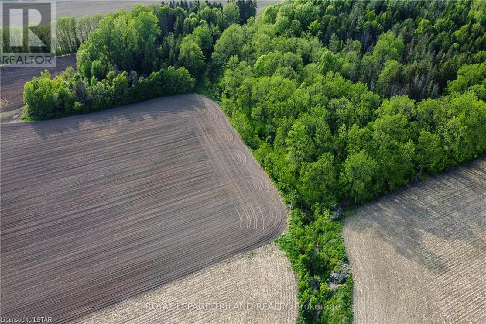 Shows creek running into start of wooded area - 27796 Nairn Road, North Middlesex, ON