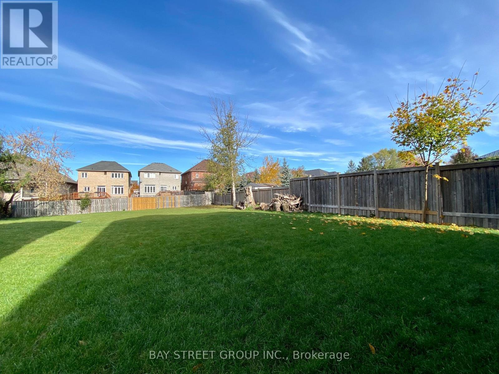 36 Elm Grove Avenue, Richmond Hill, ON - Outdoor