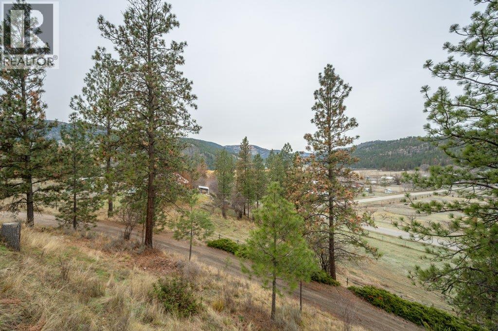 459 Johnson Crescent, Oliver, BC - Outdoor With View