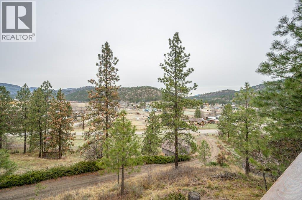 459 Johnson Crescent, Oliver, BC - Outdoor With View