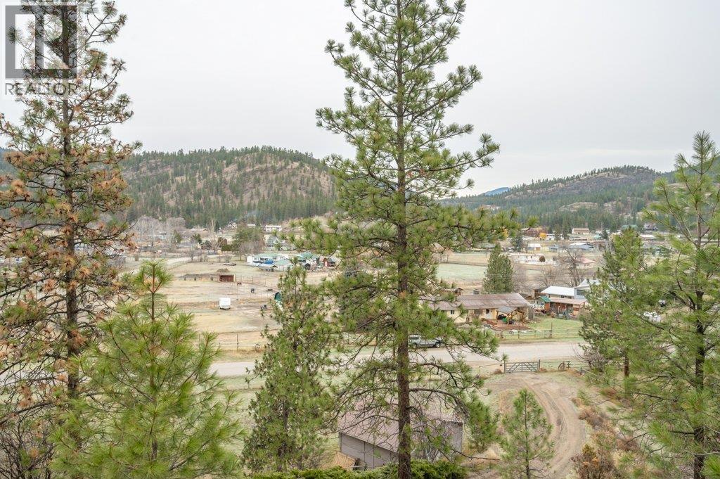 459 Johnson Crescent, Oliver, BC - Outdoor With View