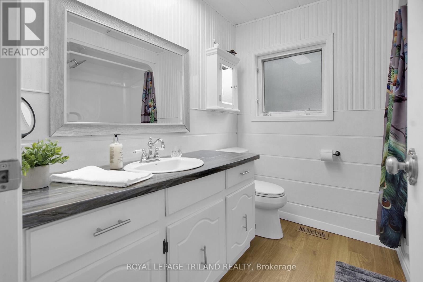 209 Water Street, Lucan Biddulph (Lucan), ON - Indoor Photo Showing Bathroom