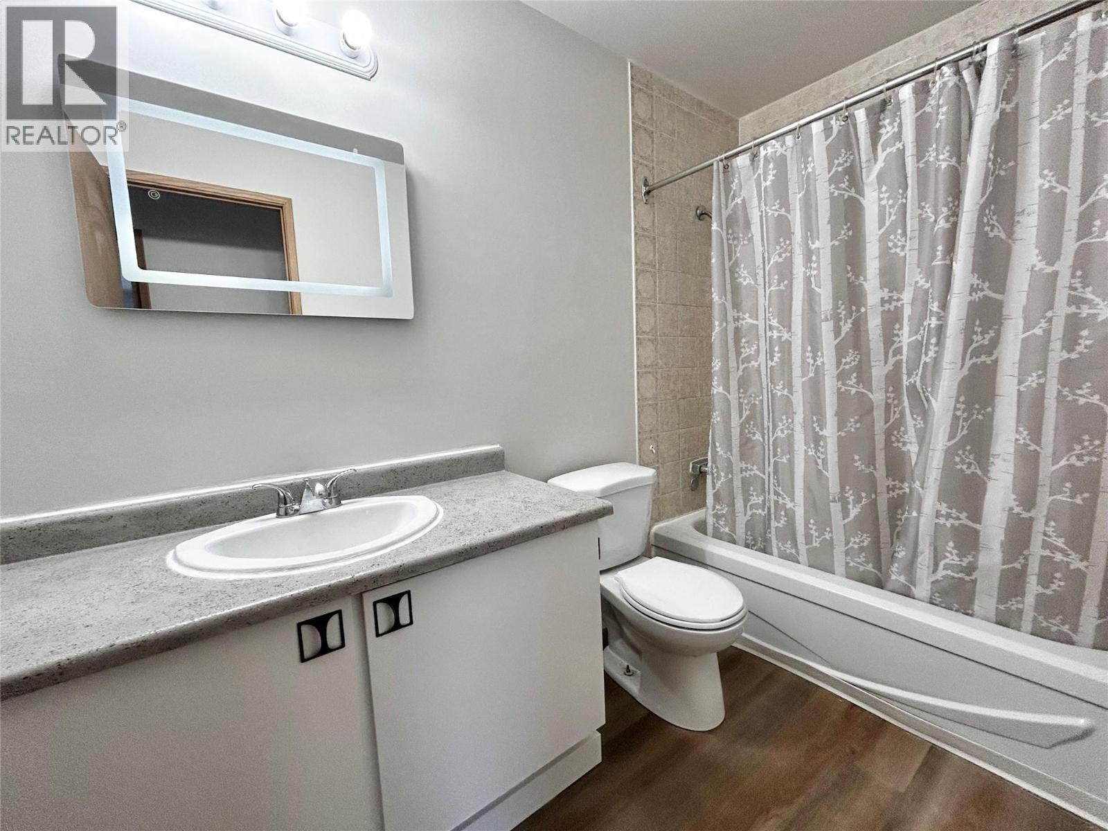 185 Chamberlain Crescent Unit# 313, Tumbler Ridge, BC - Indoor Photo Showing Bathroom