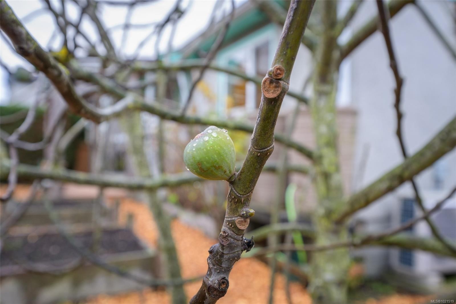 2968 Cedar Hill Rd, Victoria, BC