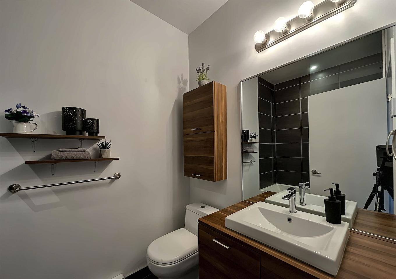 Salle de bains - 405-2335 Av. Bennett, Montréal (Mercier/Hochelaga-Maisonneuve), QC - Indoor Photo Showing Bathroom