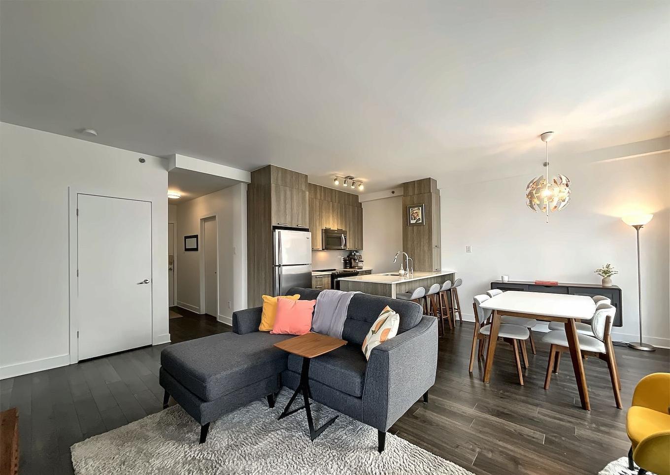 Salon - 405-2335 Av. Bennett, Montréal (Mercier/Hochelaga-Maisonneuve), QC - Indoor Photo Showing Living Room