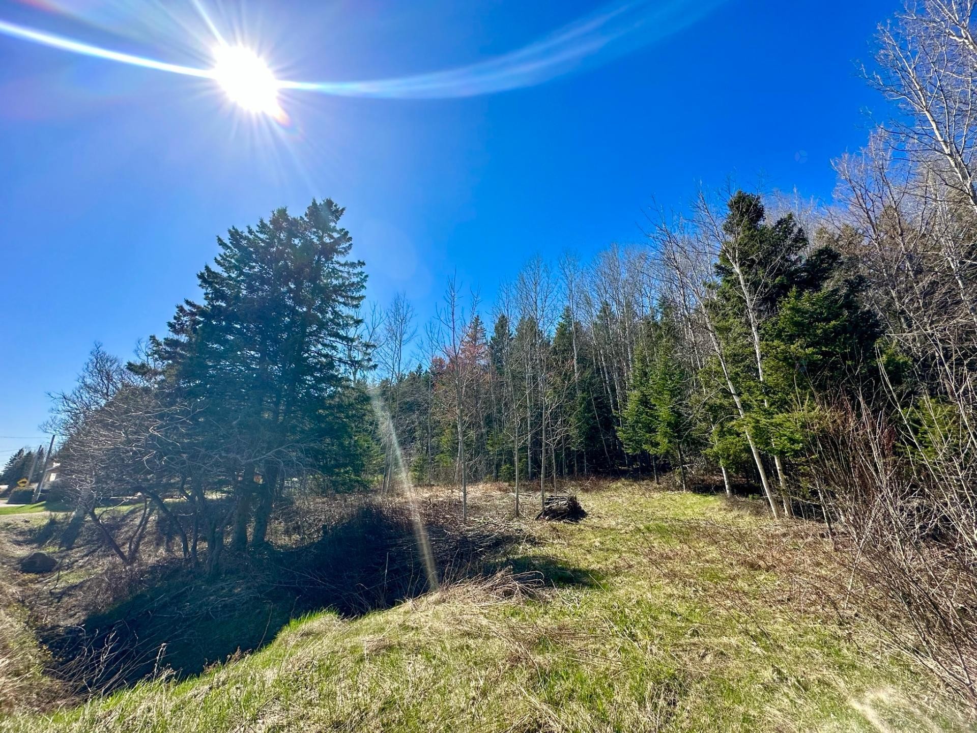Terre/Terrain - Route 204, Saint-Aubert, QC