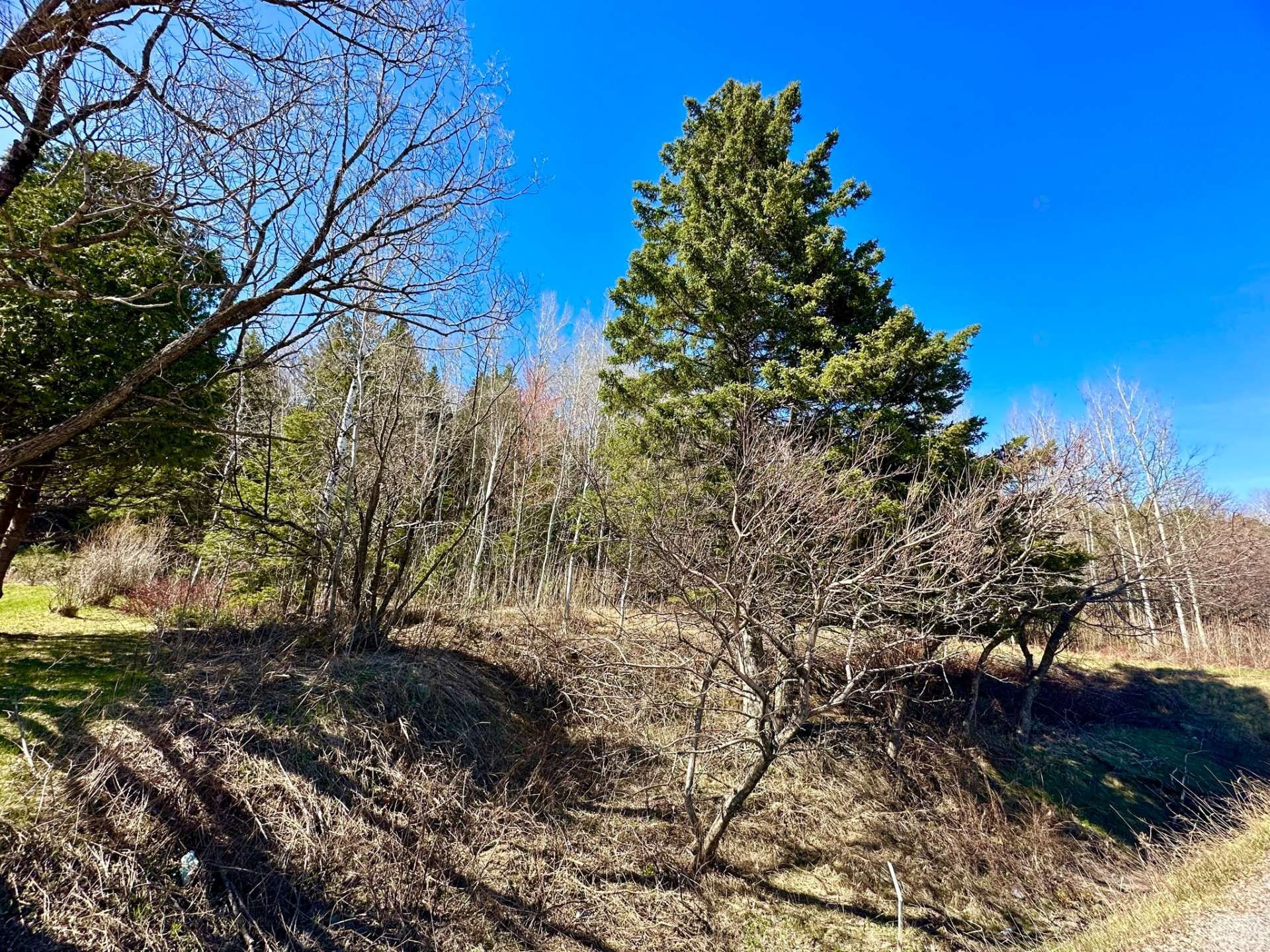 Terre/Terrain - Route 204, Saint-Aubert, QC