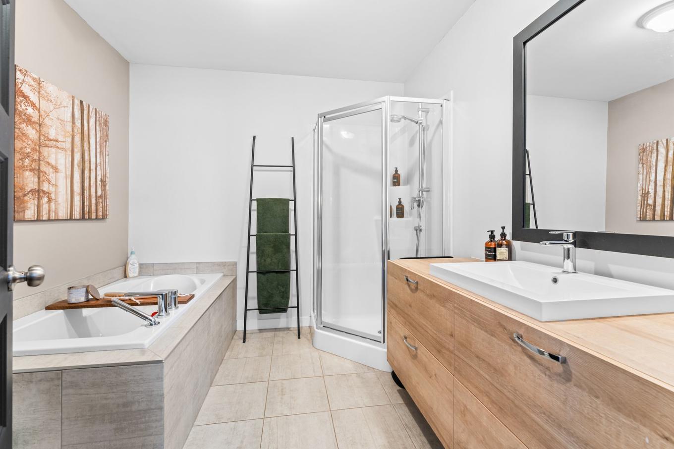 Salle de bains - 213 Rue De Venise, Saint-Lin/Laurentides, QC - Indoor Photo Showing Bathroom