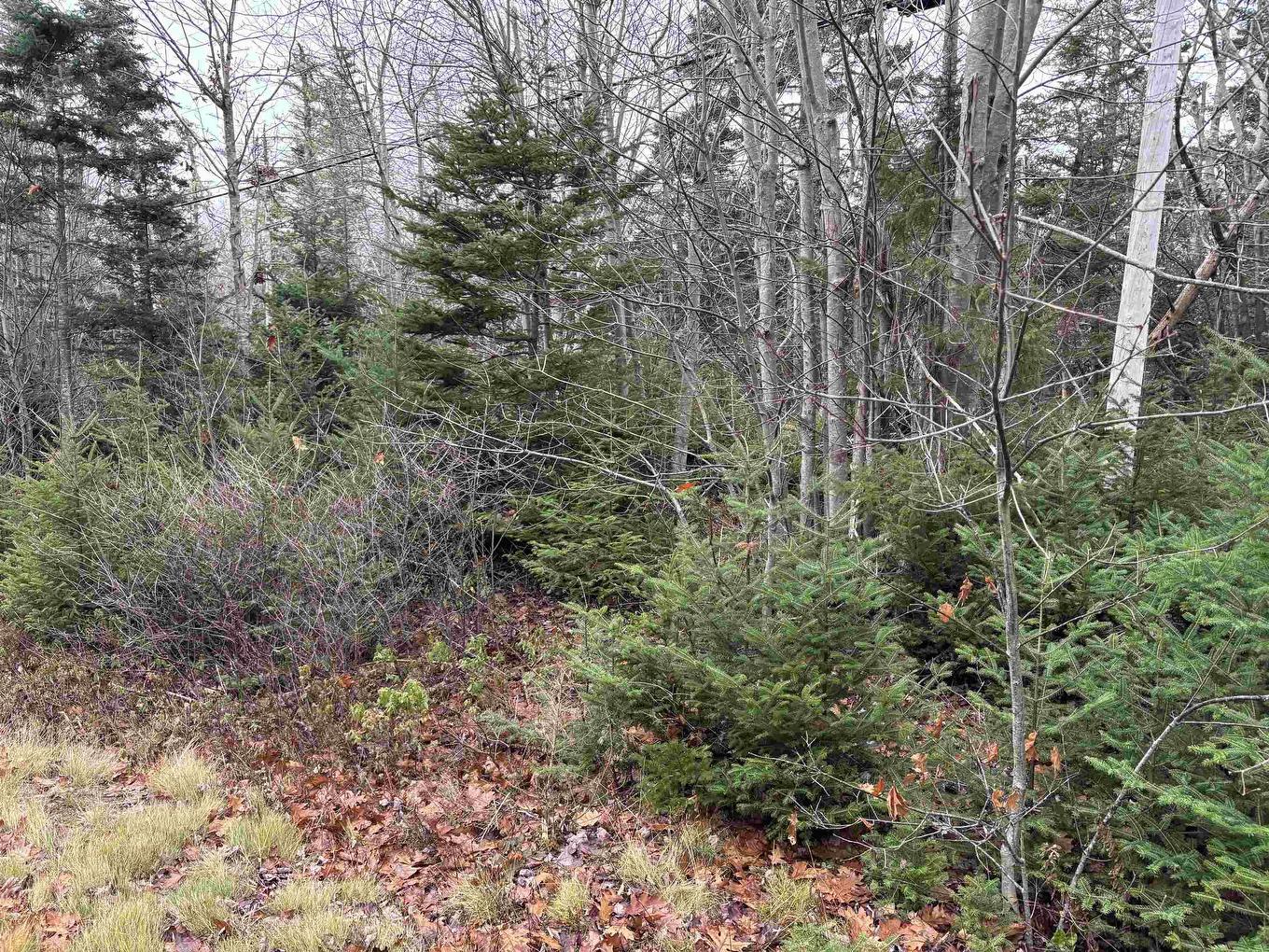 Lot 1 Shore Road, Port Saxon, NS