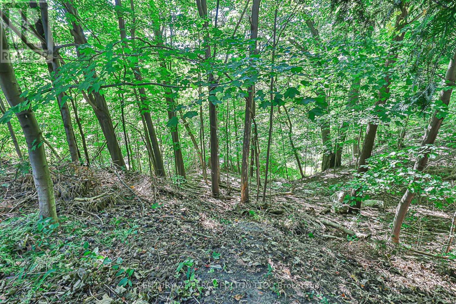 4 Page Avenue, Toronto, ON - Outdoor