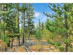 PROP LOT 4 BROWN ROAD Bridge Lake, BC V0K 1E0