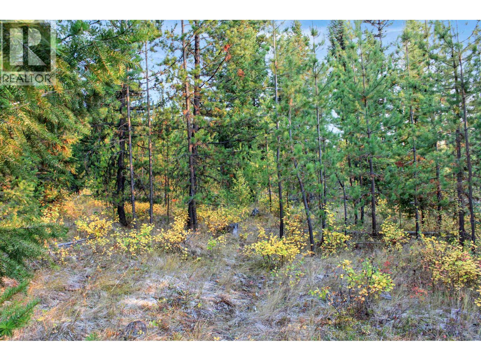 Prop Lot 4 Brown Road, Bridge Lake, BC