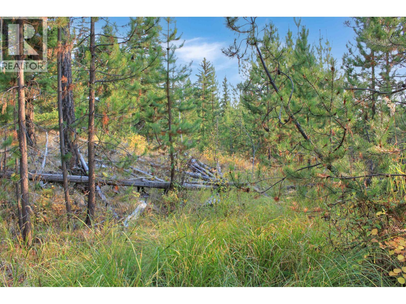 Prop Lot 4 Brown Road, Bridge Lake, BC