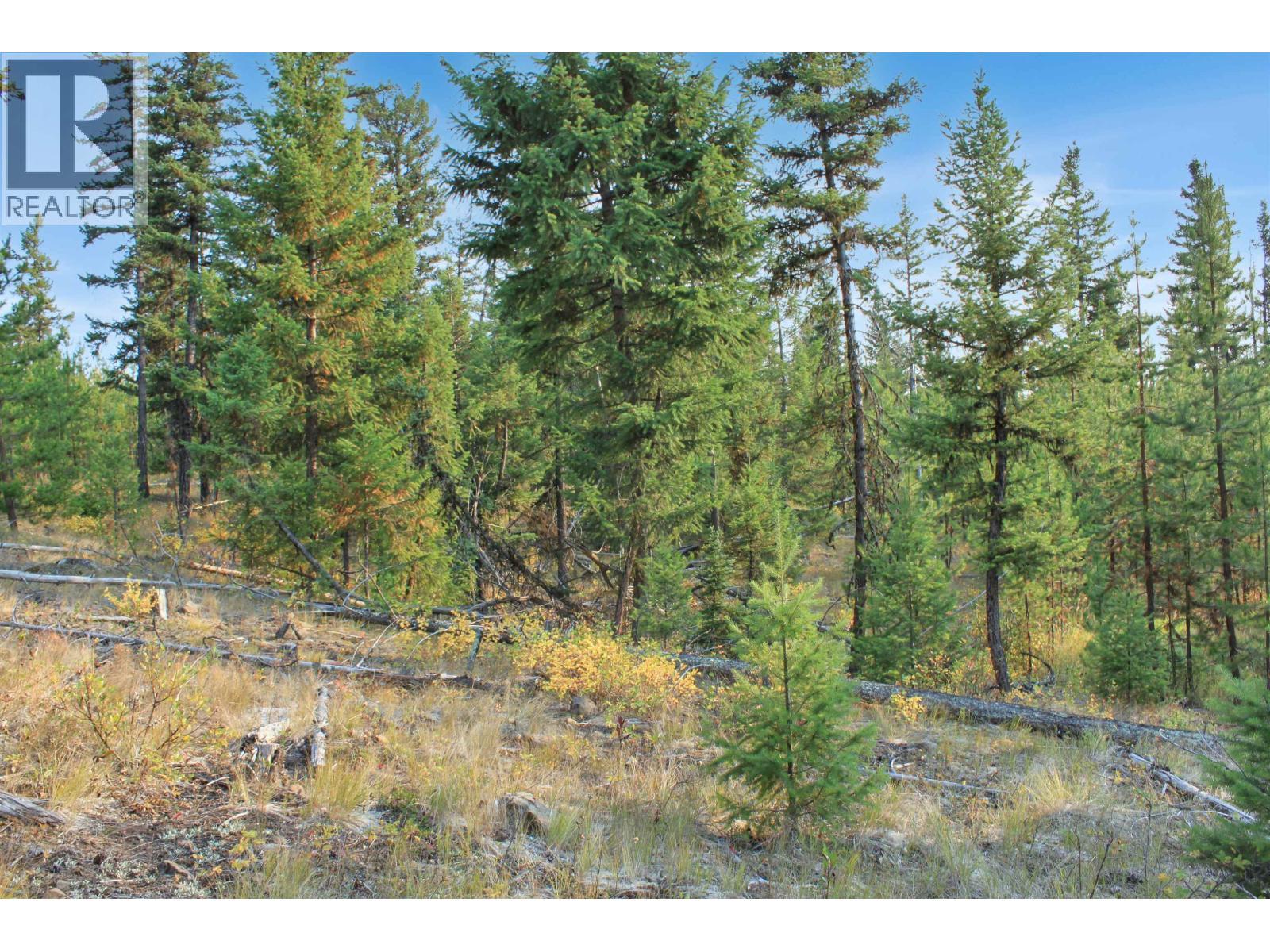 Prop Lot 4 Brown Road, Bridge Lake, BC