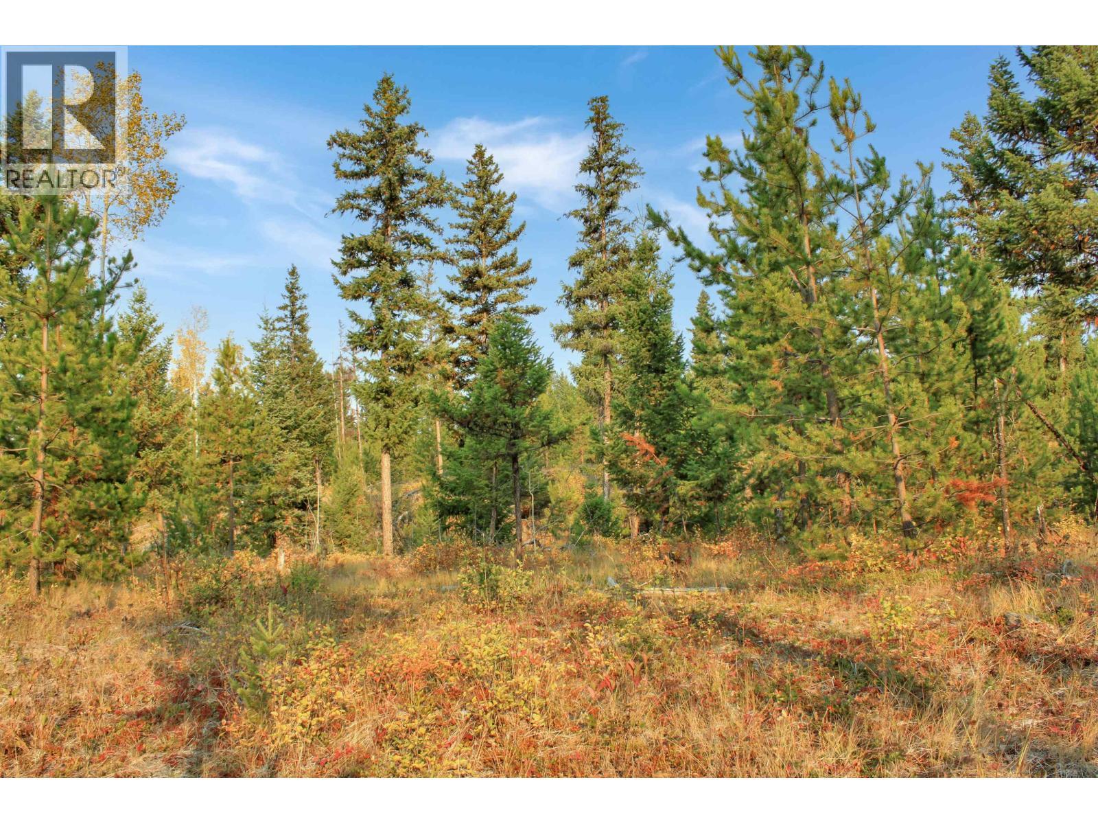 Prop Lot 4 Brown Road, Bridge Lake, BC