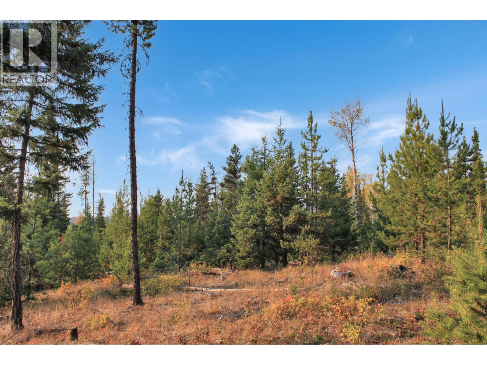 Prop Lot 4 Brown Road, Bridge Lake, BC