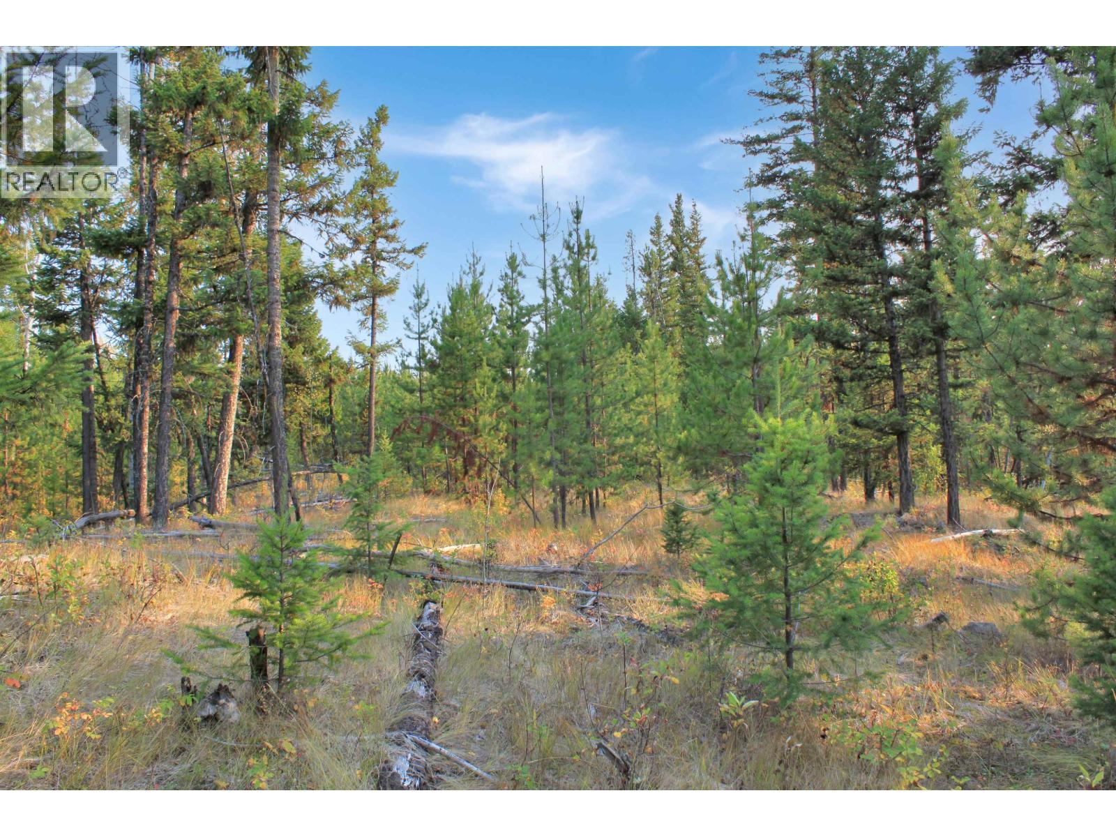 Prop Lot 4 Brown Road, Bridge Lake, BC