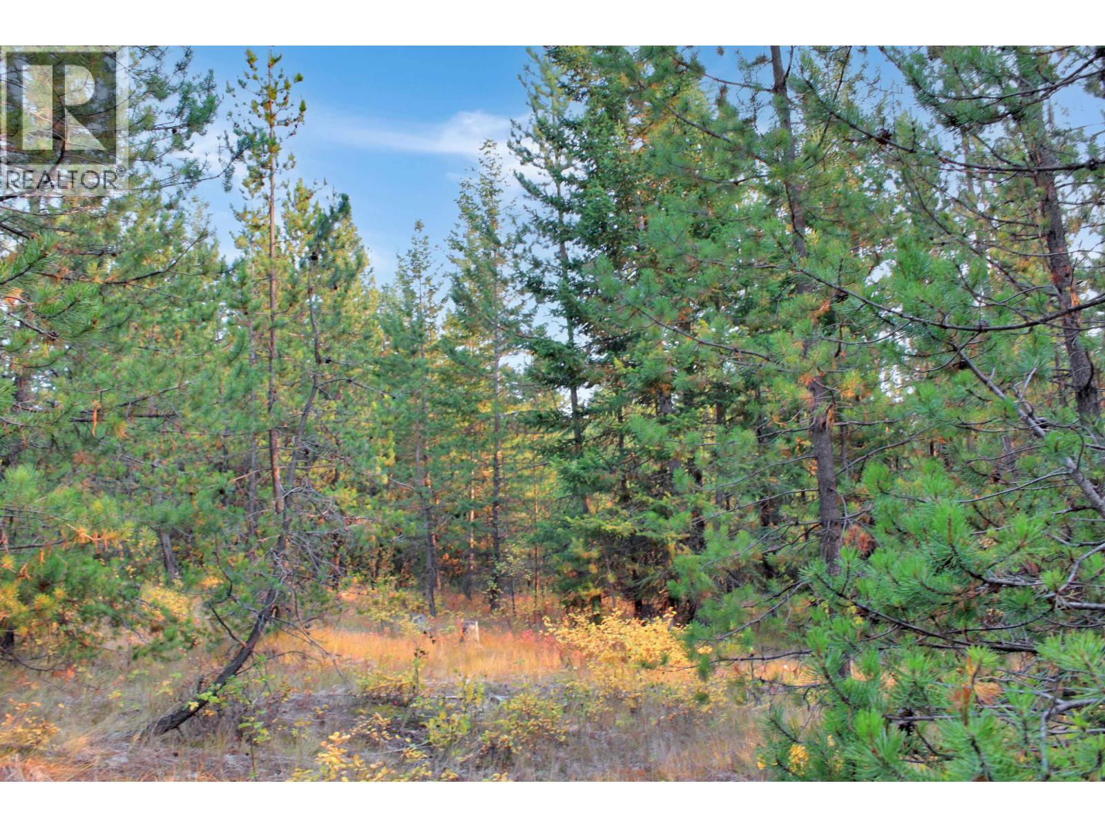 Prop Lot 4 Brown Road, Bridge Lake, BC