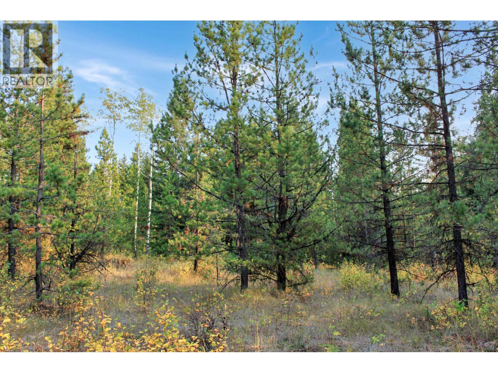 Prop Lot 4 Brown Road, Bridge Lake, BC