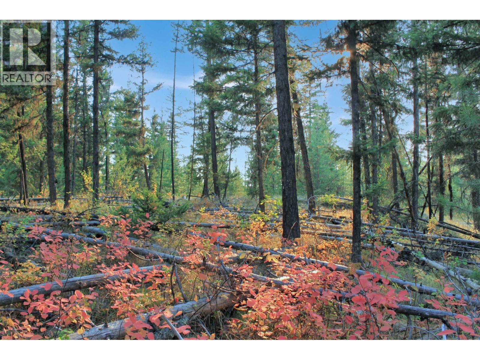 Prop Lot 4 Brown Road, Bridge Lake, BC