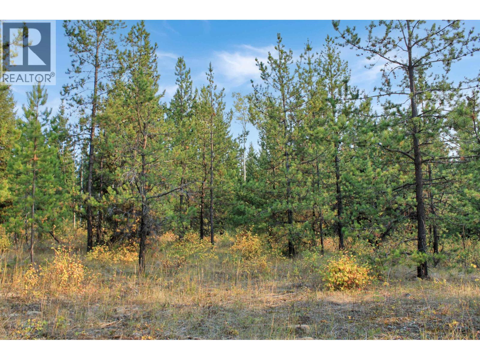 Prop Lot 4 Brown Road, Bridge Lake, BC