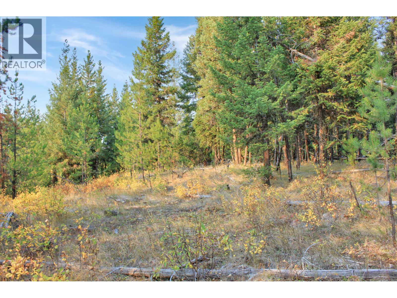 Prop Lot 4 Brown Road, Bridge Lake, BC