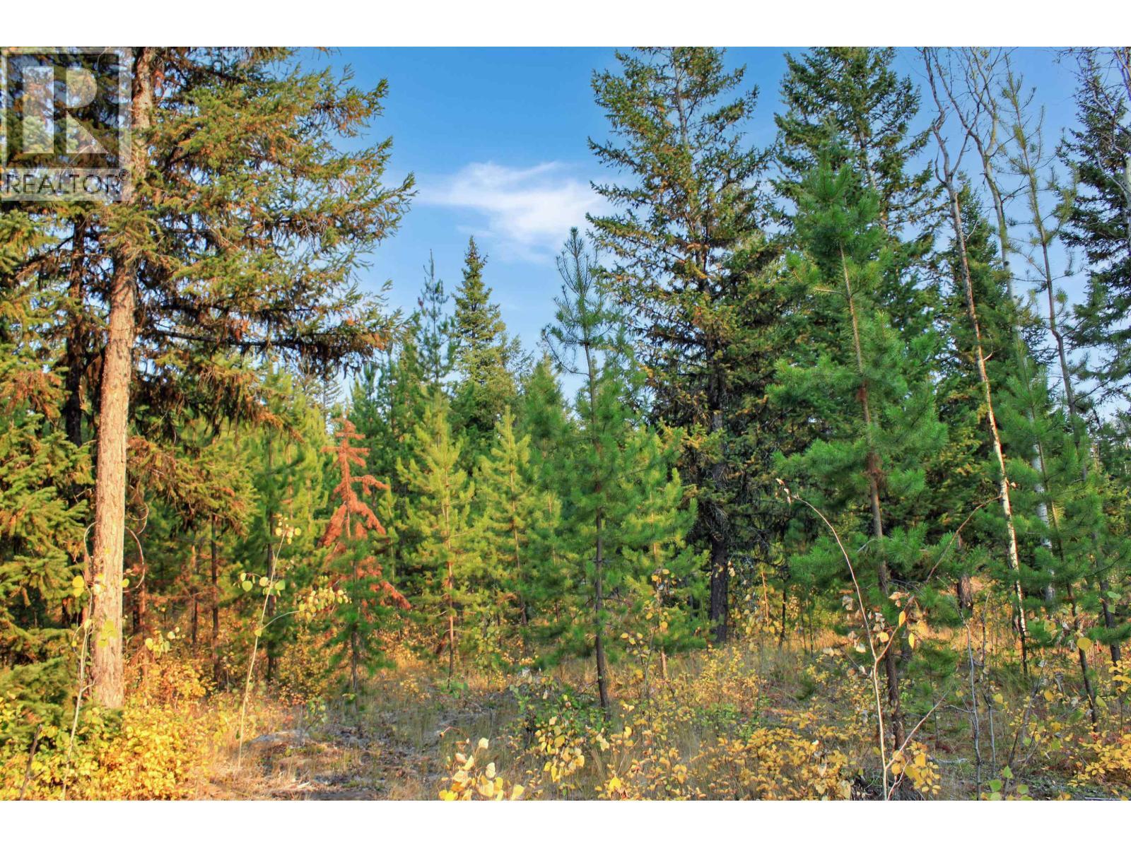 Prop Lot 4 Brown Road, Bridge Lake, BC