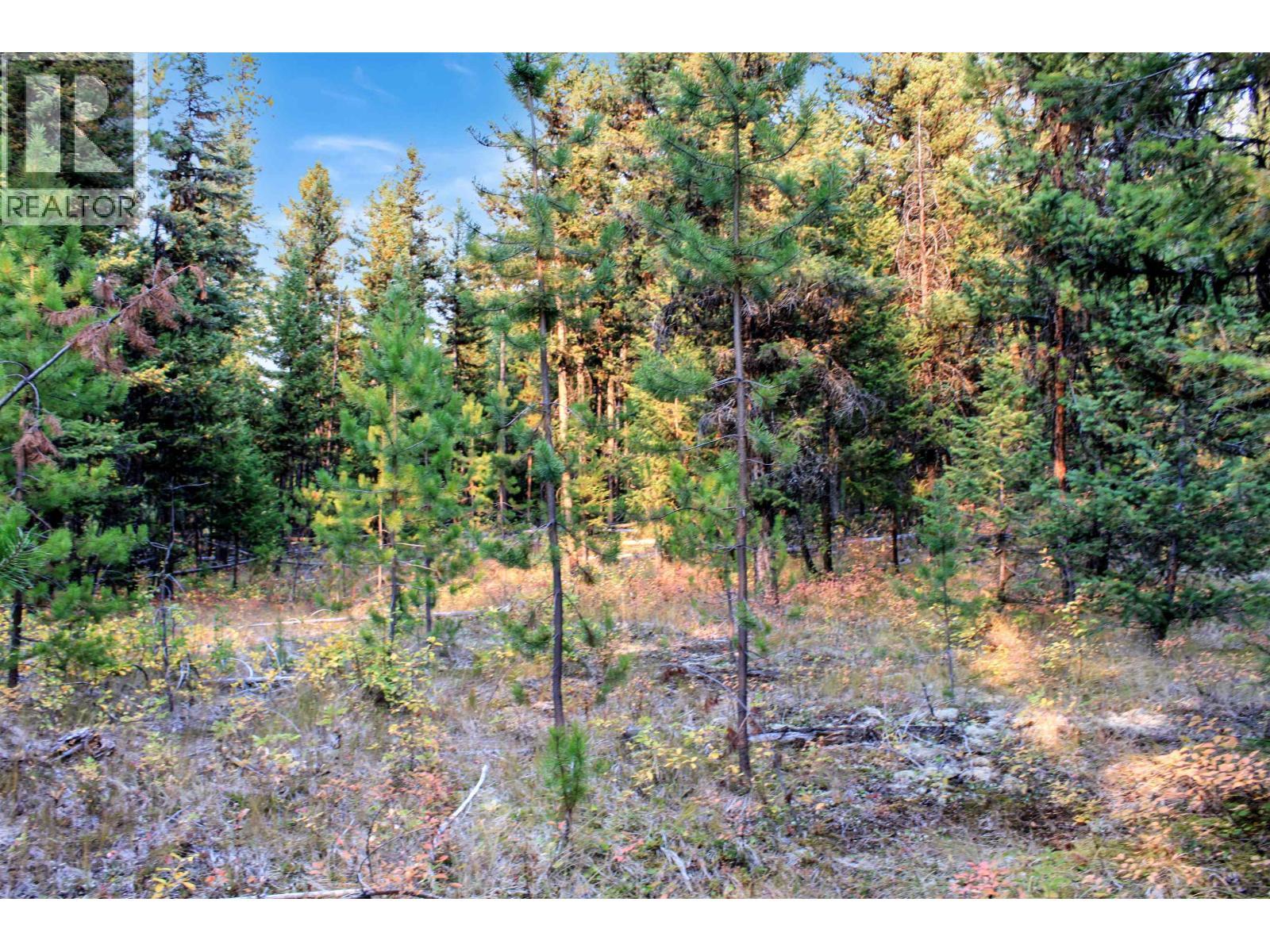 Prop Lot 4 Brown Road, Bridge Lake, BC